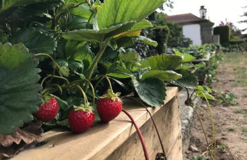 Quinta De Guimaraes - Foto 11