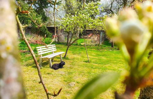 Am Alten Haus - Foto 6