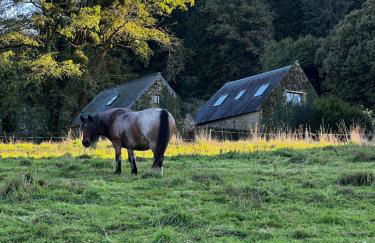 Gîtes du Gohic - Le Cidre - Foto 37