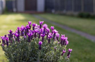 Newly Refurbed 5 Bed House for Contractors, Families & Relocation- Cosely Wolverhampton - Foto 25