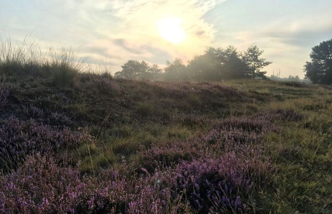 Pavilion 6 People With Storage Space - Photo 3