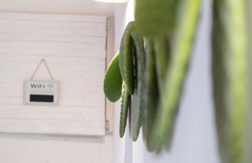 Il Chioschetto - Foto 19