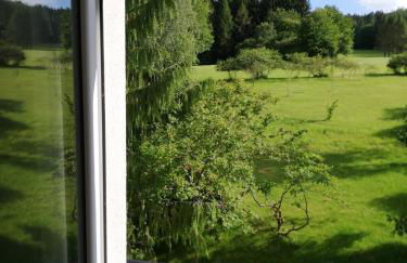 Fahrenbach-Alm - Foto 16