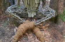 Appartamenti Paolo - Foto 25