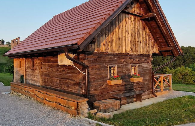 Vineyard cottage Vinska grajska kašča - Foto 37