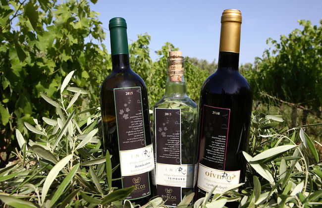 Byblos Luxury Villa - Foto 12