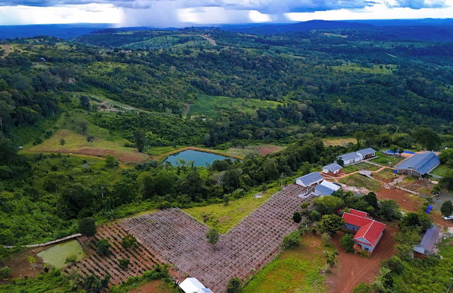 PIDA COFFEE FARM LODGE - Photo 73