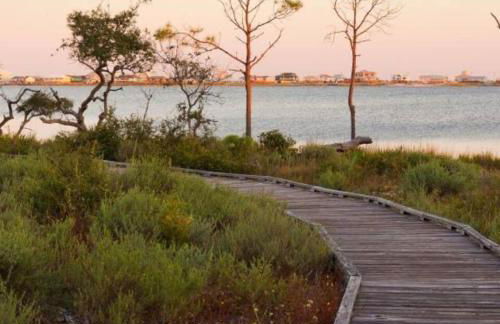 Chic Dog-Friendly 4BR | OWA + Beach + Fenced Yard - Foto 56