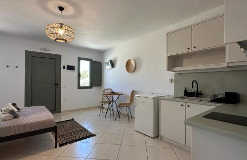 Ammos Andros Accommodation - Photo 25