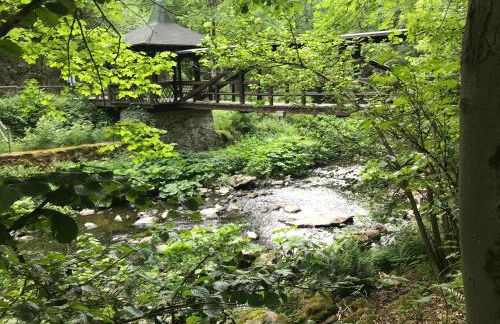 Ferienwohnung am Goldberg mit überdachter Loggia - Foto 29