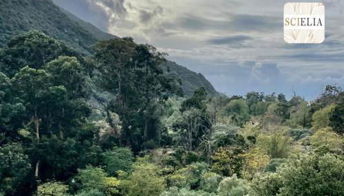 Chez Françoise - Photo 4