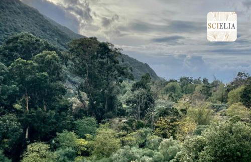 Chez Françoise - Foto 4