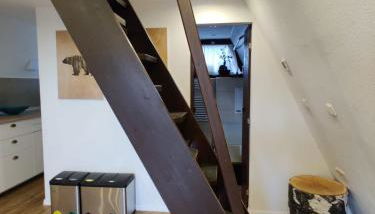 Nurdachhaus Marie im Nordschwarzwald - Foto 2