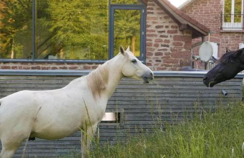 Holiday Home in Walscheid mit Terrasse- Grill by Interhome - Foto 56