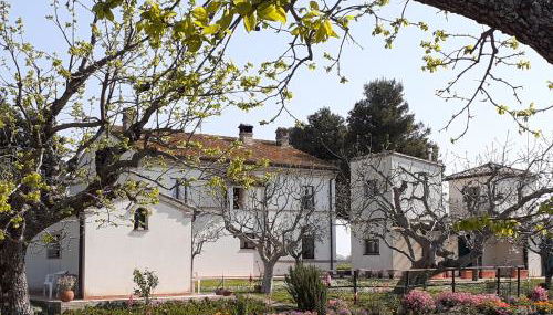 Silos Torrenova - Foto 3