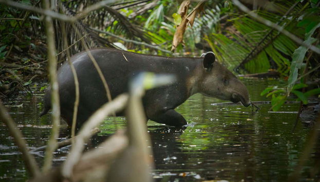 Celeste River Hiking Trip - Photo 2