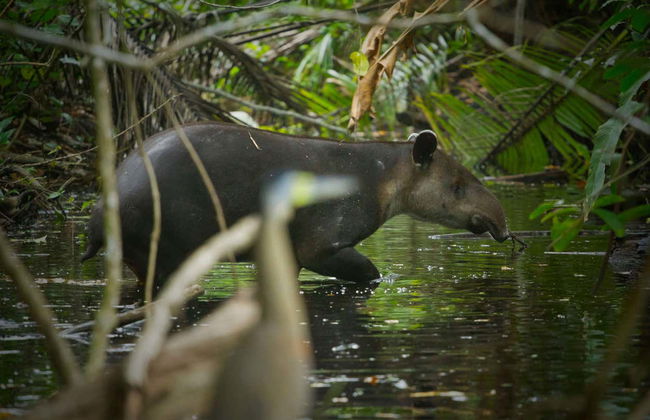 Randonnée à la rivière Celeste - Photo 2
