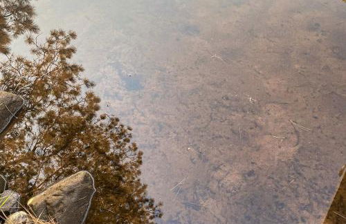 Camp Farrell House - Foto 38