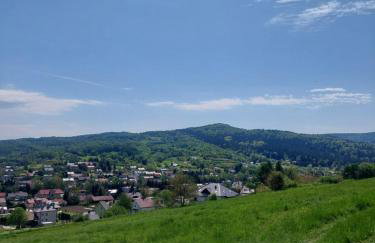 Brzozowy Zakątek - Photo 20