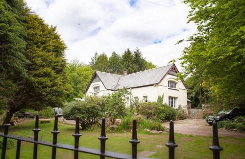 The Artists Studio - Foto 11