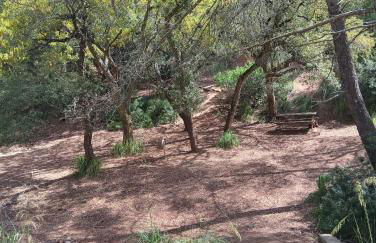 Luminoso Appartamento con Terrazza......C.U......Q2483 - Foto 17