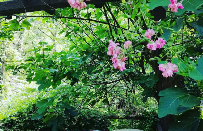 Agriturismo Arcera - Foto 29