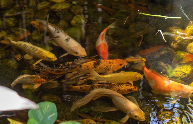 Mystic Town in the Heart of Playa - Foto 67