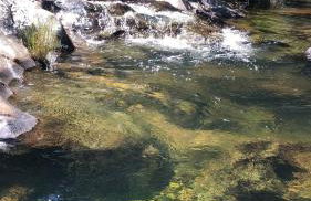 Altamira Cachoeiras - Foto 9