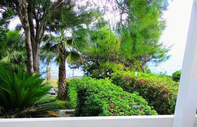 Villa Il Trullo - Photo 12