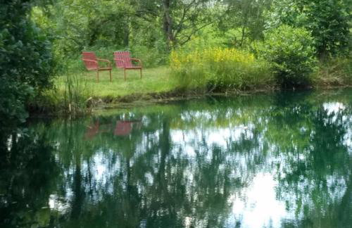 Cabin in the Woods-Peaceful 1BR 20-Acre Rural Retreat-HotTub&WiFi near Asheville - Foto 12