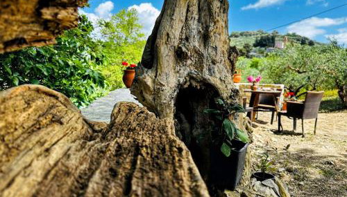 Travelers & Hikers Delight House On Way To Sougia - Foto 3