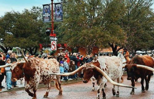 2BR King and Queen beds Games Stadium 6Flags Airport - Foto 20