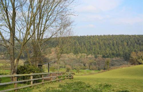 1 Bed in Gunnislake oc-54164 - Foto 22