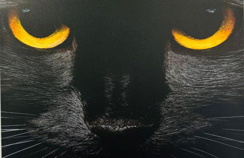 Duplex TH Sanse Norte - Foto 37