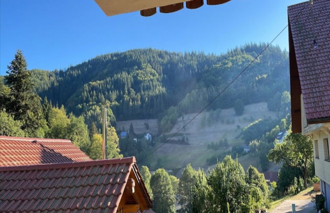 Modern Apartment in Bad Peterstal-griesbach With Vineyards - Foto 75