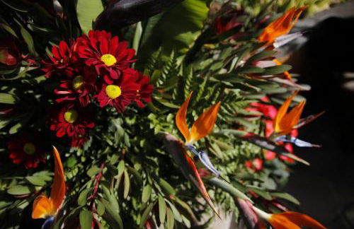 Dazkarizeh73 - Photo 37