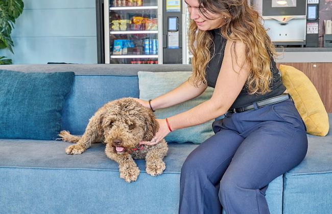 Apartamentos Hesperia Sant Joan - Foto 6