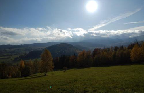 Przystanek Leszczyniec w Sudetach z jacuzzi - za dopłatą - Foto 23