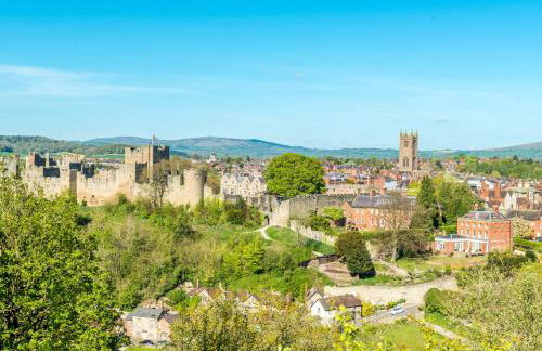 Shepherds Cabin at Titterstone - Foto 19