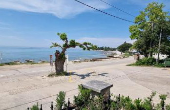 App Maria 1 - Foto 31