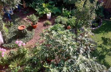 TheBackyard - Foto 27