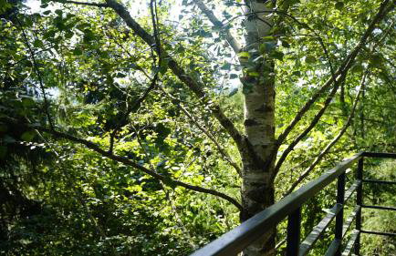 Domek Zielony Widok - noclegi Bieszczady - Foto 4