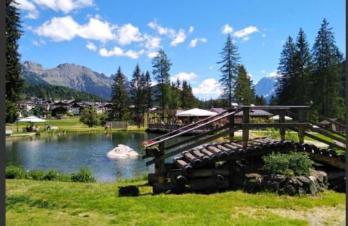 Mansarda dell'orso - Foto 20