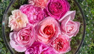 DUPLEX de 40 m2 près d'une rivière - Photo 4, Garden