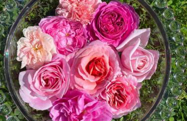 DUPLEX de 40 m2 près d'une rivière - Foto 4