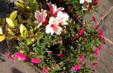 Red Kite Cottage - Foto 55