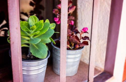 Casa Rural los Enebros - Foto 19