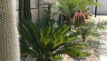 Scala dei Turchi The White Wall - Foto 4, Garden