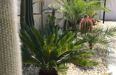 Scala dei Turchi The White Wall - Foto 4