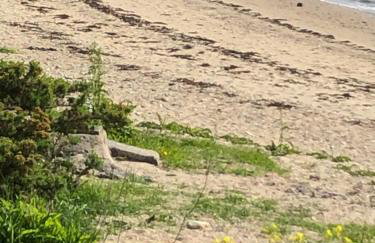 40 Glenfinart Caravan Park - Foto 31